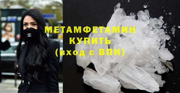 сатива Новодвинск