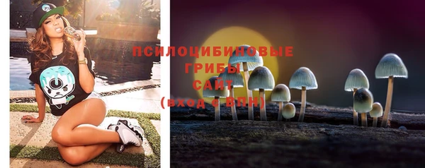 сатива Новодвинск