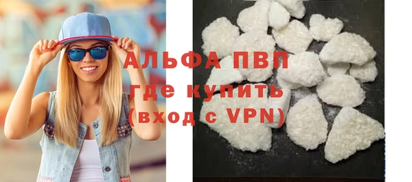 сатива Новодвинск