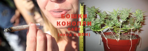 стафф Нея