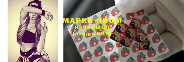 сатива Новодвинск