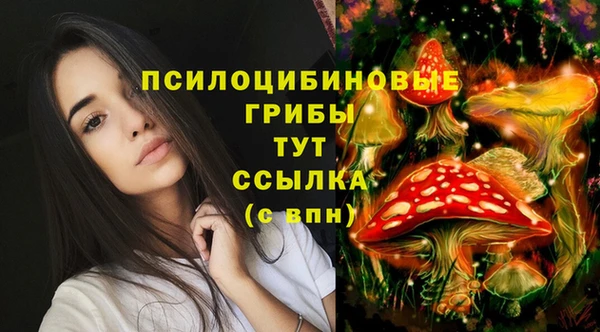 винт Новозыбков
