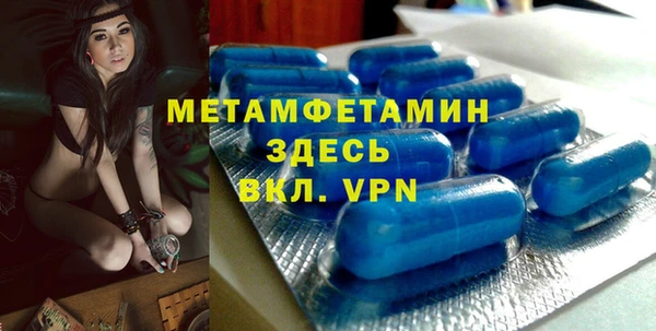 сатива Новодвинск