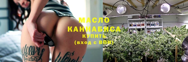 сатива Новодвинск