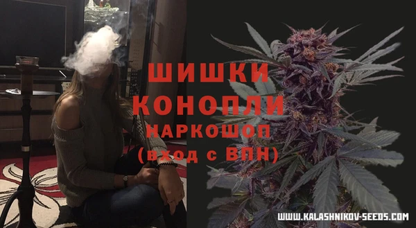 винт Новозыбков