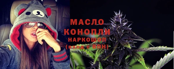сатива Новодвинск