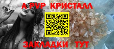 spice Кингисепп