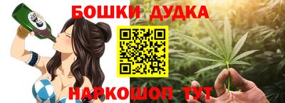 spice Кингисепп