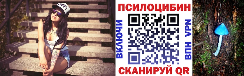Псилоцибиновые грибы прущие грибы  купить наркотики цена  mega как зайти  Надым 