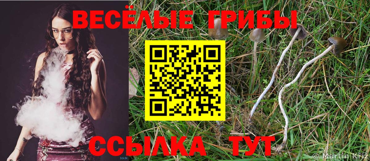 Галлюциногенные грибы ЛСД Надым