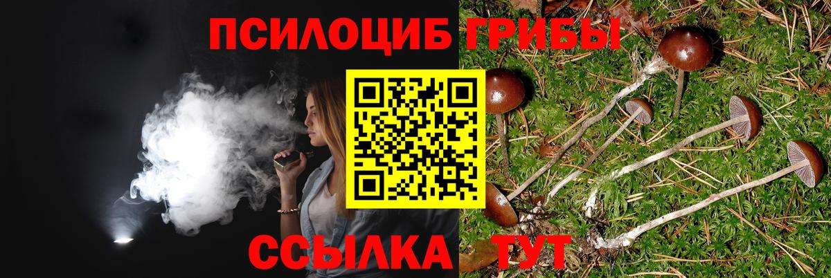 Надым  Галлюциногенные грибы Cubensis  Вход с VPN 